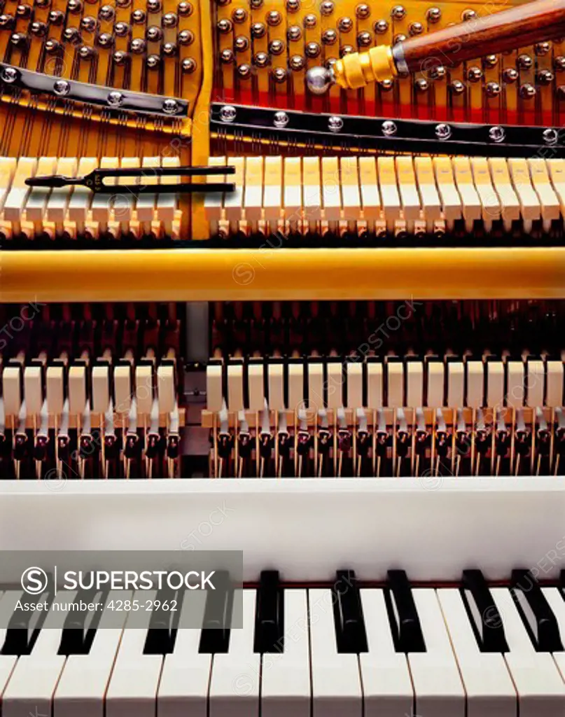 A piano keyboard and the inner workings and mechanisms of a piano.