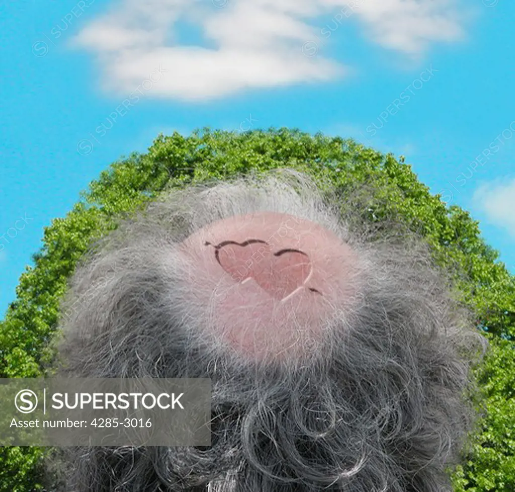 Conceptual image of a  mans bald head with two hearts on it surrounded by foliage and clouds.