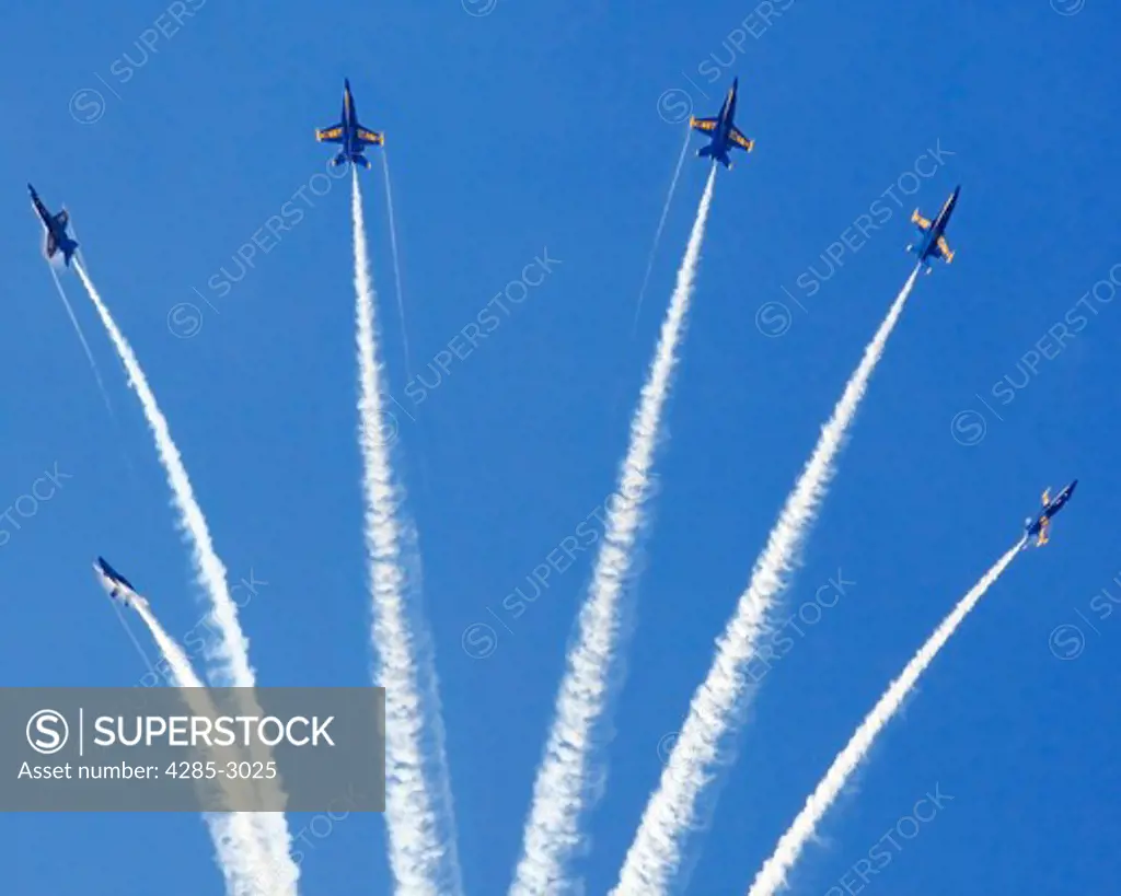 A picture of five U.S. Navy Blue Angels fighter jets flying away from each other.