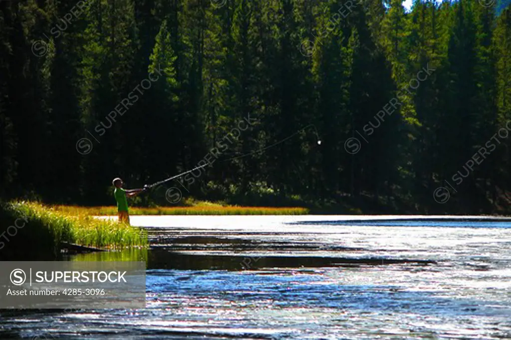 Young man cast fishing with rod on river bank with dark forest in background (in Colorado).