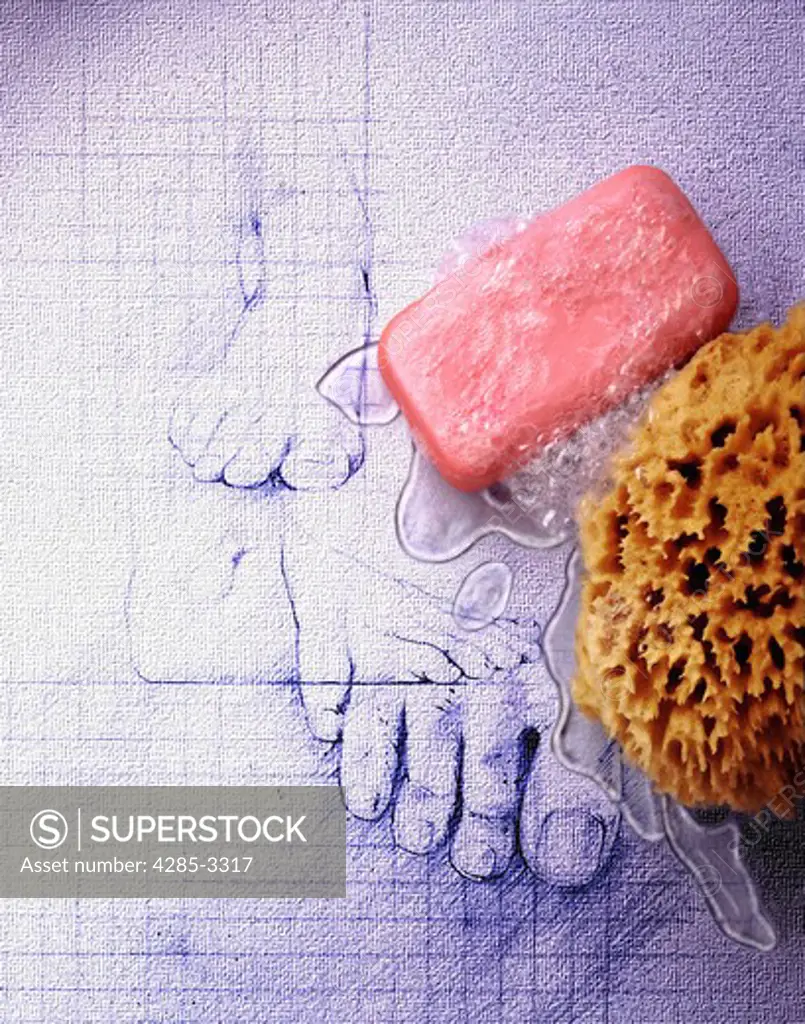 Blue print surface showing drawing of a foot with a bar of soap and sea sponge with water on it.