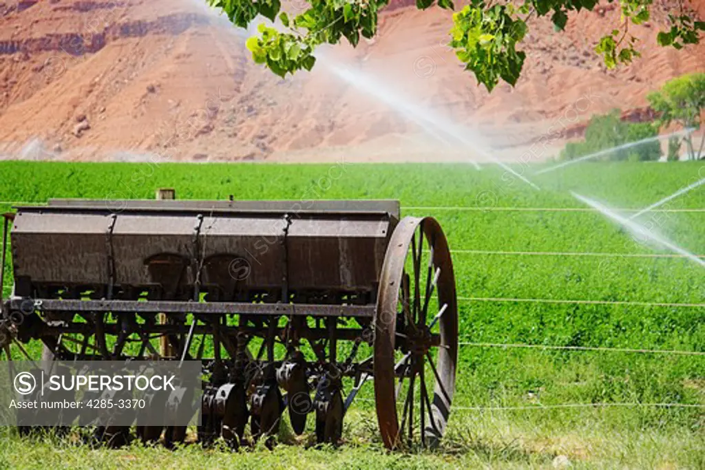Irrigation in green field with old horse wagon in foreground and desert sedimentary red rock wall in background.
