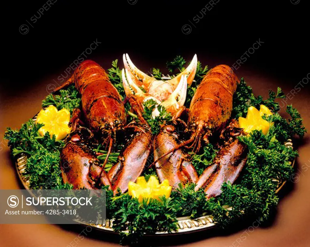 Still life of red lobster dish and green garnish on silver dish.
