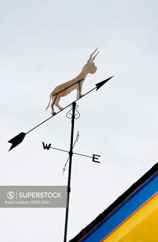 WEATHER VANE IN SHAPE OF A DONKEY