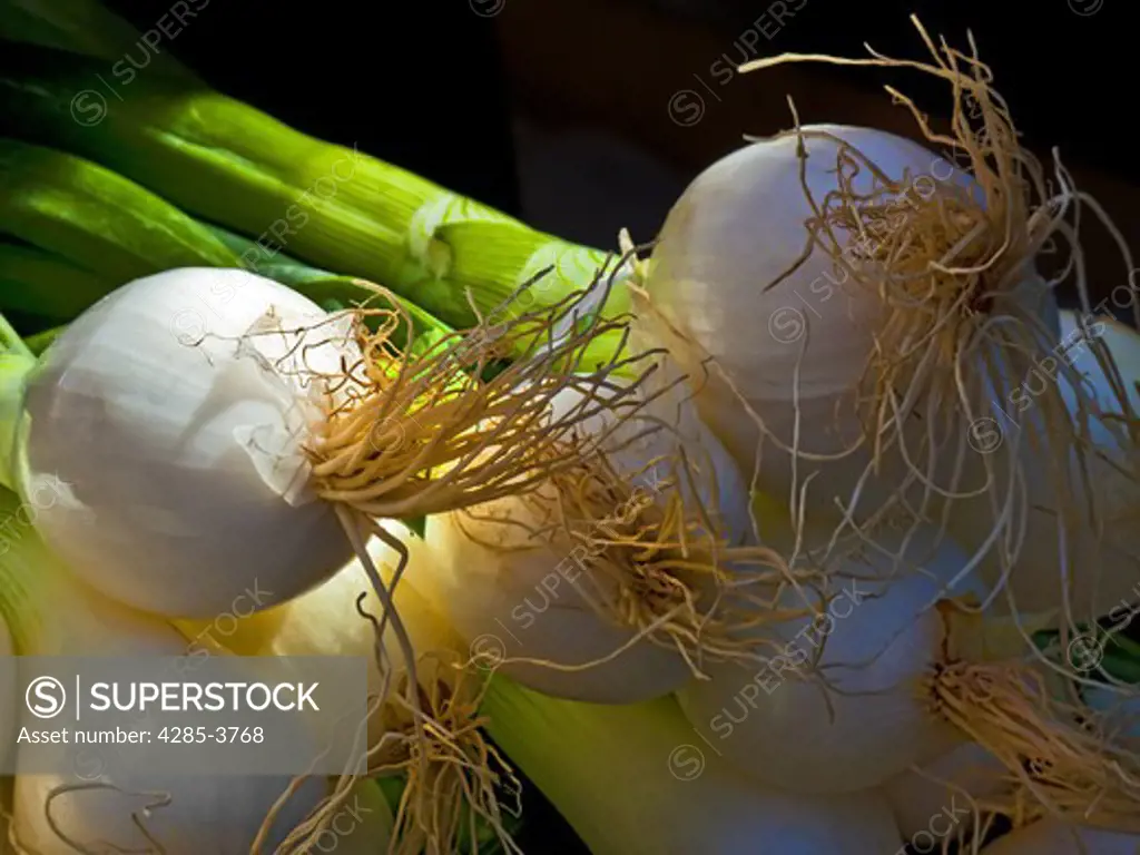 raw onions in a bunch
