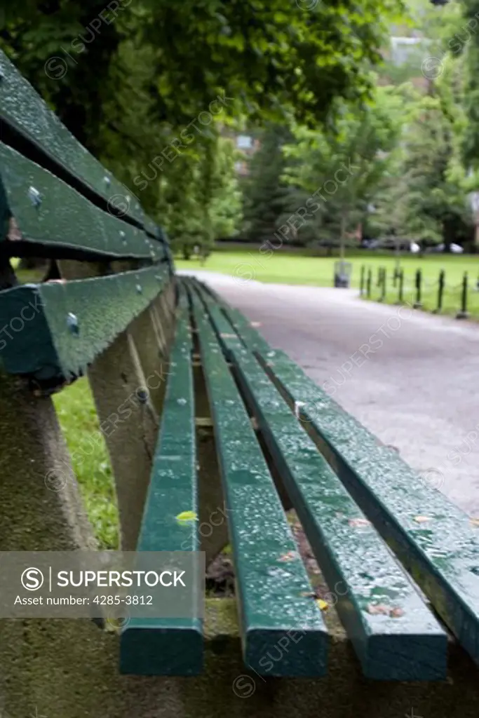 Bench in Boston Public Garden on a rainy summer afternoon.