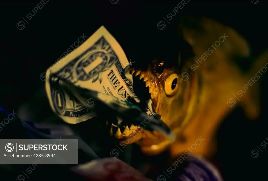 Piranha eating dollar bill.