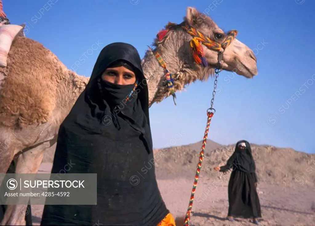 Bedouin women with camels