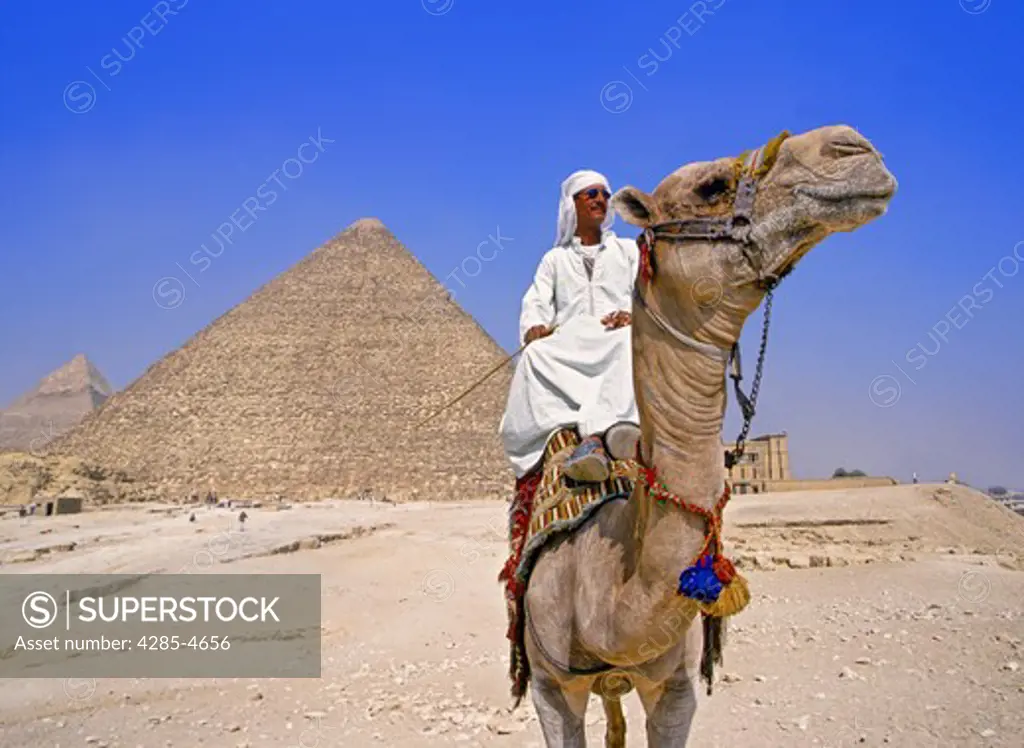 Egyptian on camel by pyramid of Cheops