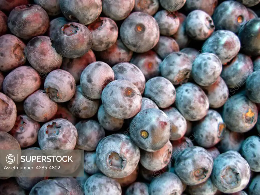 Close up of blueberries