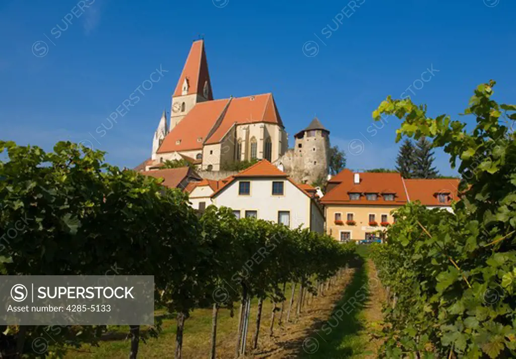 Vineyards by Weissenkirchen town in Lower Austria