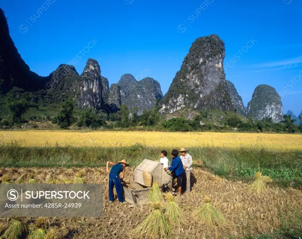China, Guilin, Rice Paddies, Workers