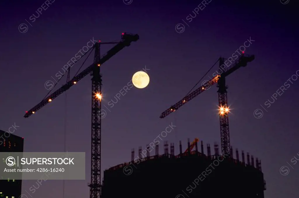 Silhouette of cranes with moon