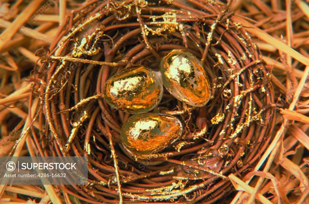 Close-up of three golden eggs sitting in a birds nest.