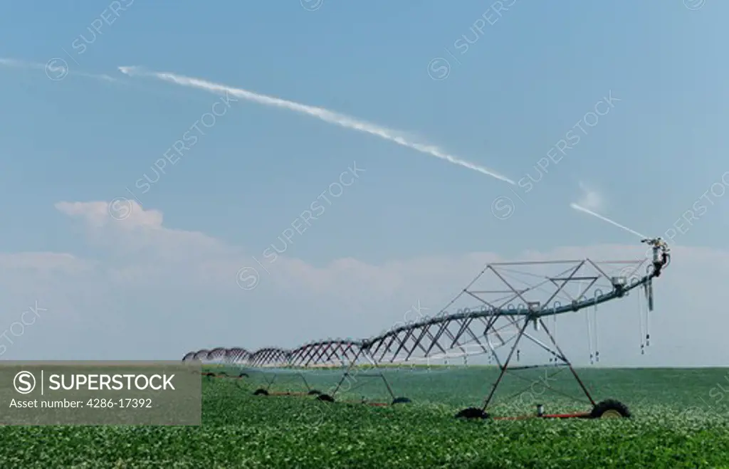 irrigation of crops