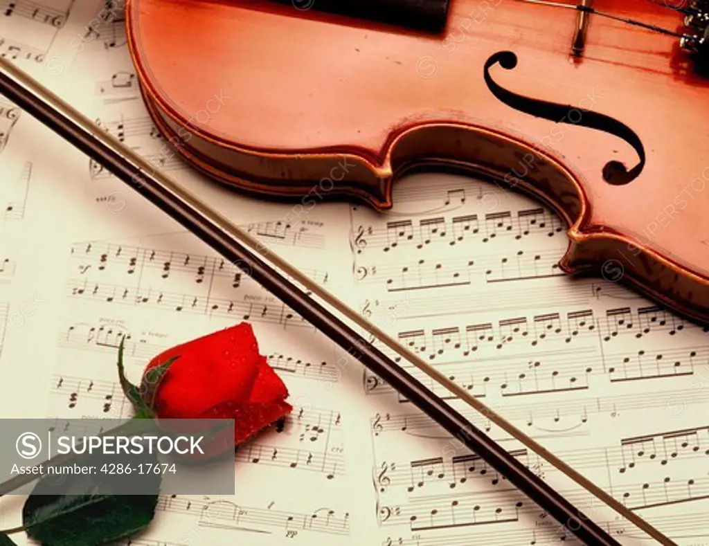 Music rose violin