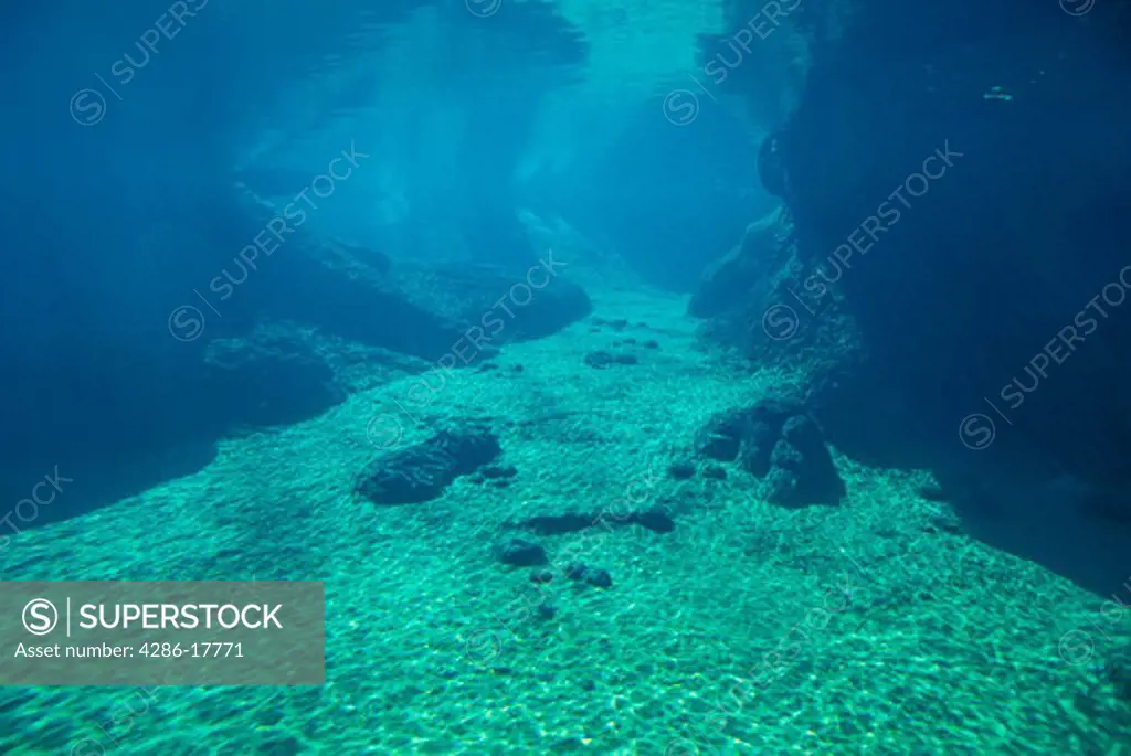 Underwater landscape Be#B71