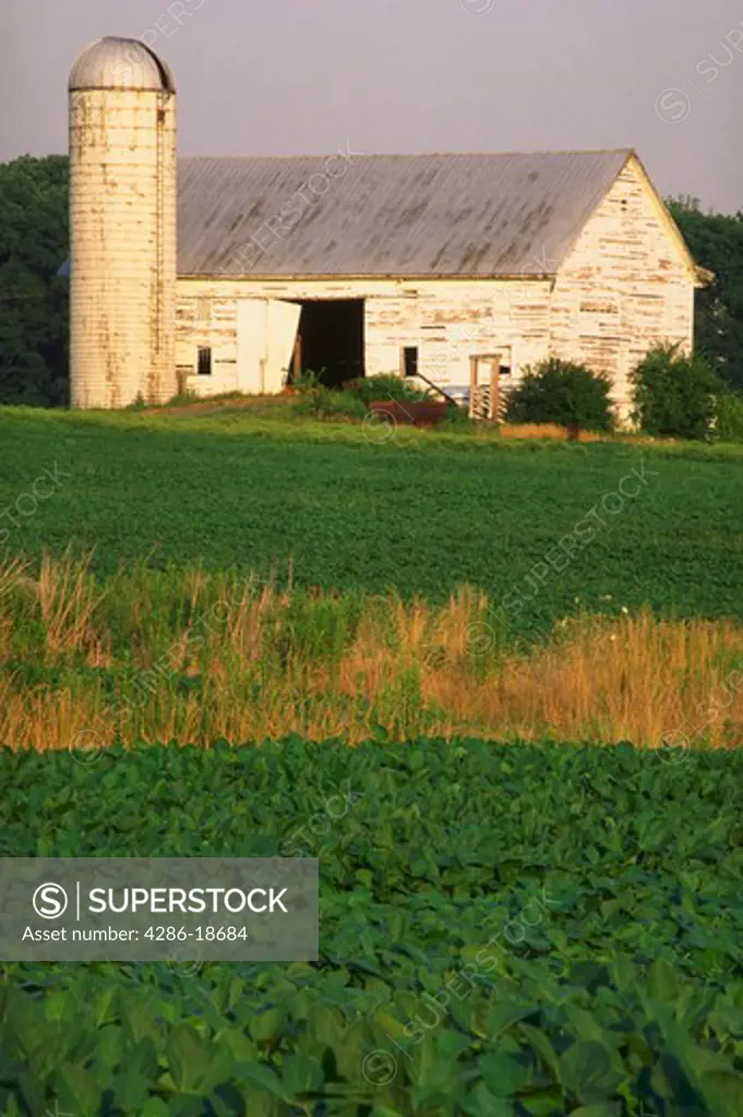 Barn, silo and alfalfa field, Rockville, MD.