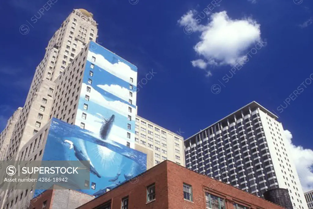 Illinois, Chicago, Skyline of downtown Chicago. Whale mural on wall of high rise building.