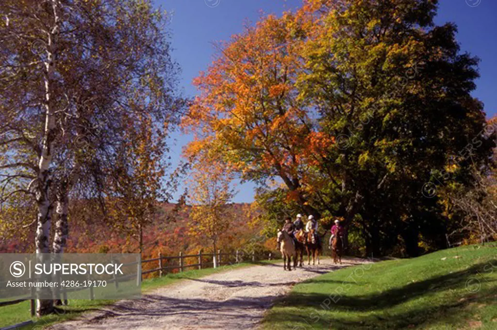 Vermont, Stowe, Horseback riding on the dirt road leading to Peterson Farm on a sunny fall day in Stowe. 