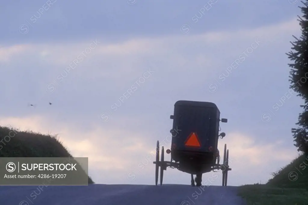 Amish, buggy, Pennsylvania, Lancaster County, Amish covered buggy traveling up the hill on a country road at dusk in Pennsylvania Dutch Country.