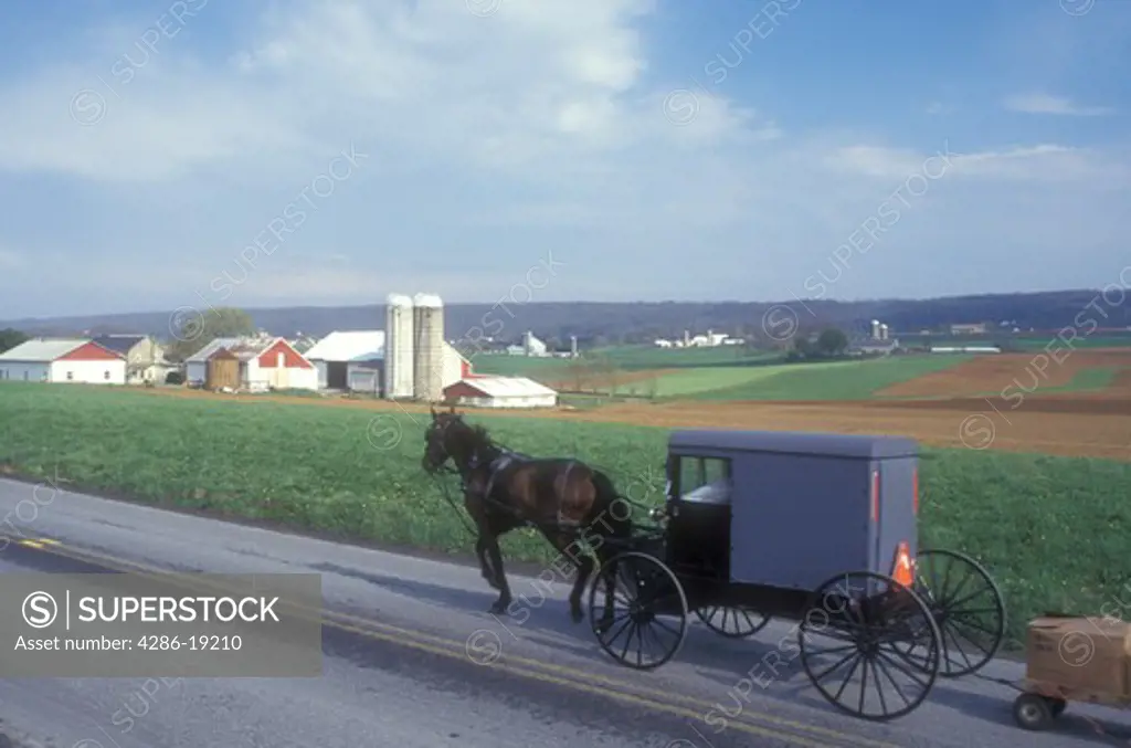 Amish, Pennsylvania, horse and buggy, Lancaster County, traffic, Amish horse and covered buggy pulling a wagon on a country road next to an Amish farm in Pennsylvania Dutch Country.