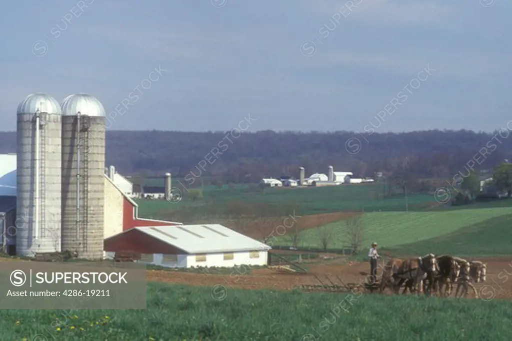Amish, Pennsylvania, farm, Lancaster County, Amish farmer plowing a field with a team of horses in scenic Pennsylvania Dutch Country.