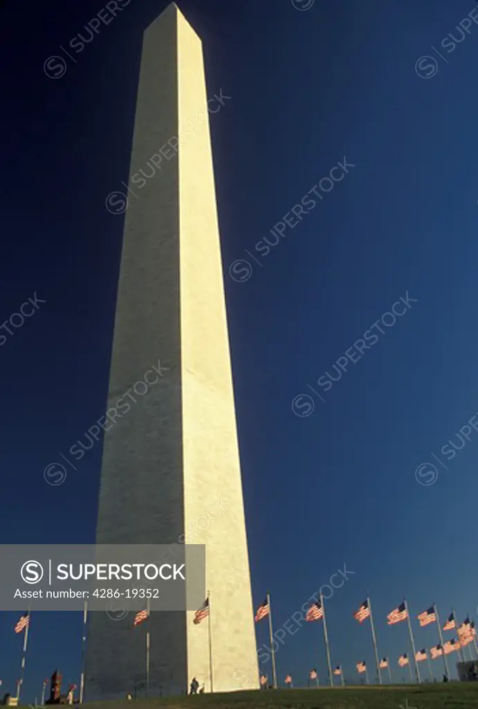 Washington Monument, Washington, DC, District of Columbia, The Washington Monument stands erect against the deep blue sky with the U.S. flags surrounding it in Washington, D.C. the Capital City of the United States.