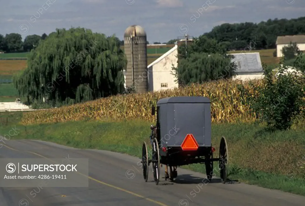 Amish, horse and buggy, Amish country, Lancaster County, Pennsylvania, Pennsylvania Dutch Country, Amish horse and covered buggy trot by Amish farms on a country road in Lancaster in the state of Pennsylvania.