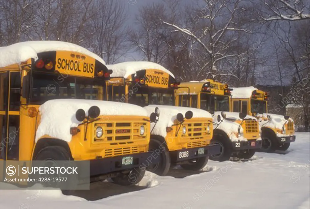 school bus, winter, New England, School buses parked in a parking lot in the snow in winter.
