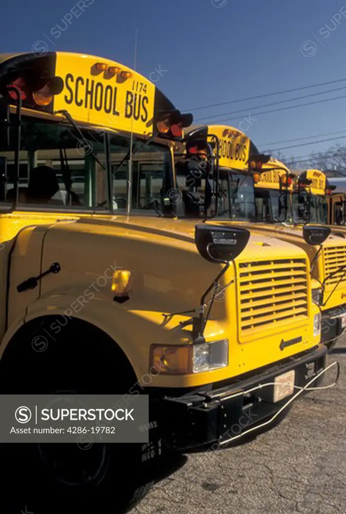 School bus, Atlanta, GA, Georgia, Yellow school buses lined up in a parking lot, 