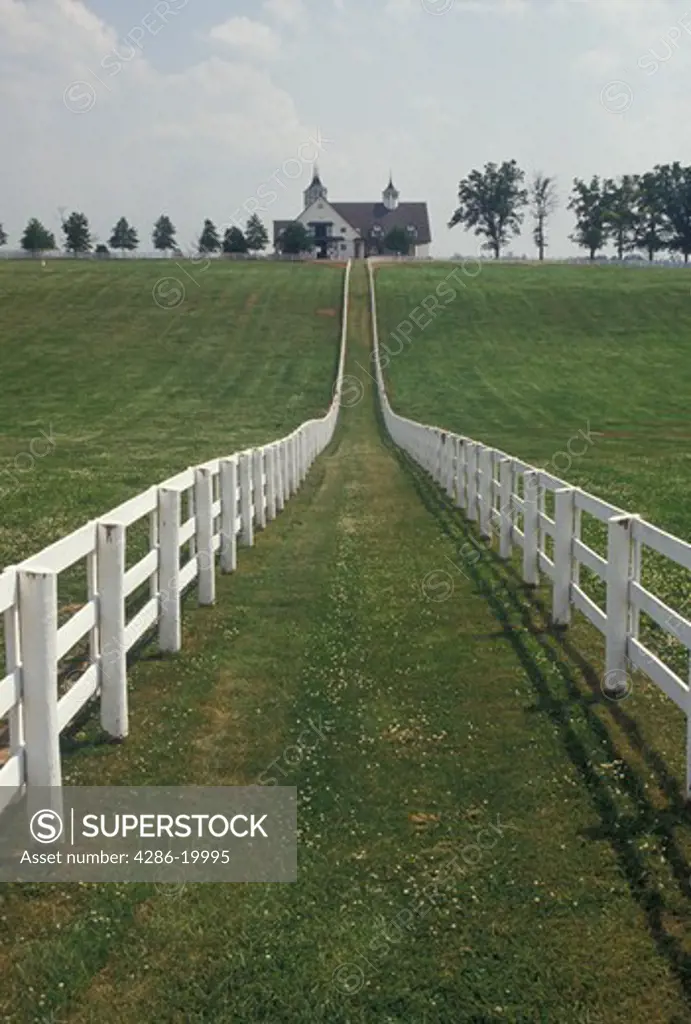 Lexington, KY, fences, pasture, Kentucky, Blue Grass Country, Two white plank fences follow the rolling green pastures leading up to a large horse barn in the bluegrass country of Lexington.