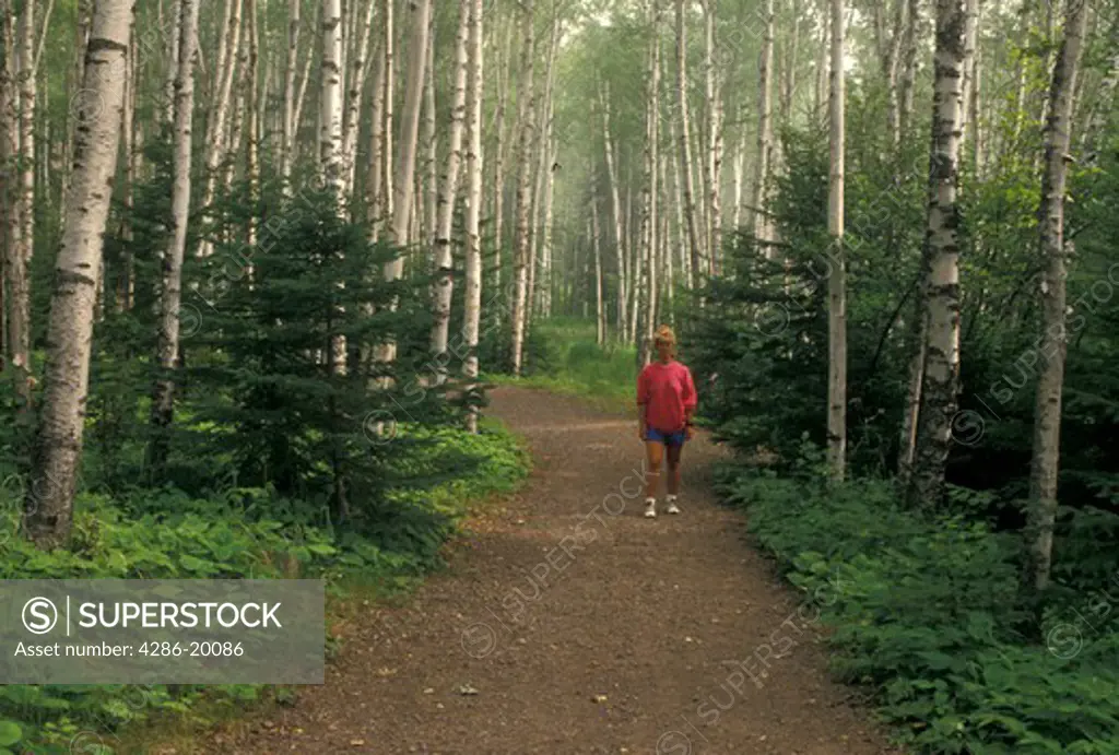 birch tree, hiking, MN, Lake Superior, North Shore Drive, Minnesota, Woman walks on a foot path through a forest of birch trees along Lake Superior North Shore.