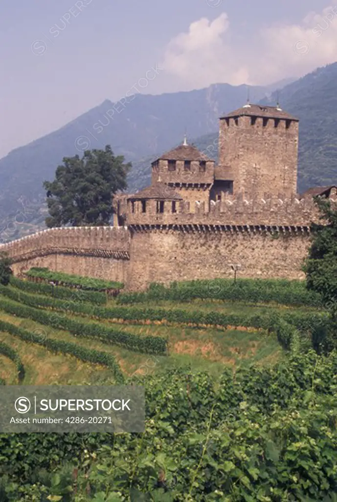 castle, Switzerland, Ticino, Bellinzona, Castello di Montebello a medieval castle surrounded by vineyards in the village of Bellinzona.