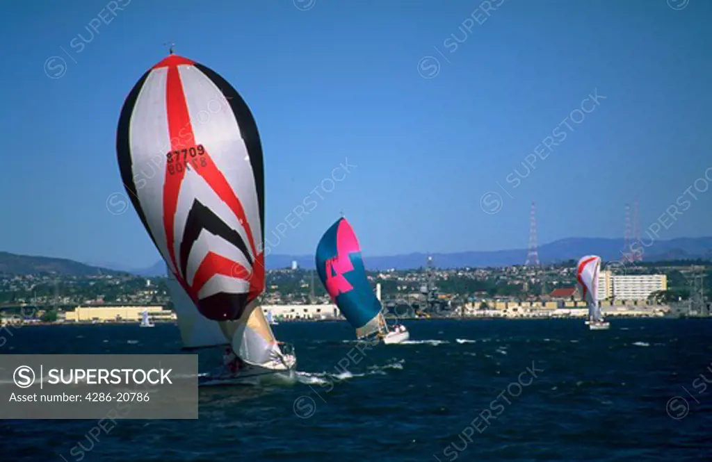 Colorful sails on sailboats in the wind during a race.