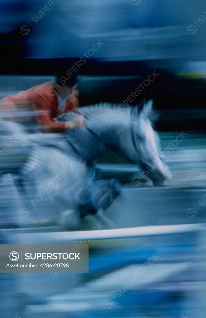 Jumping horse blurred
