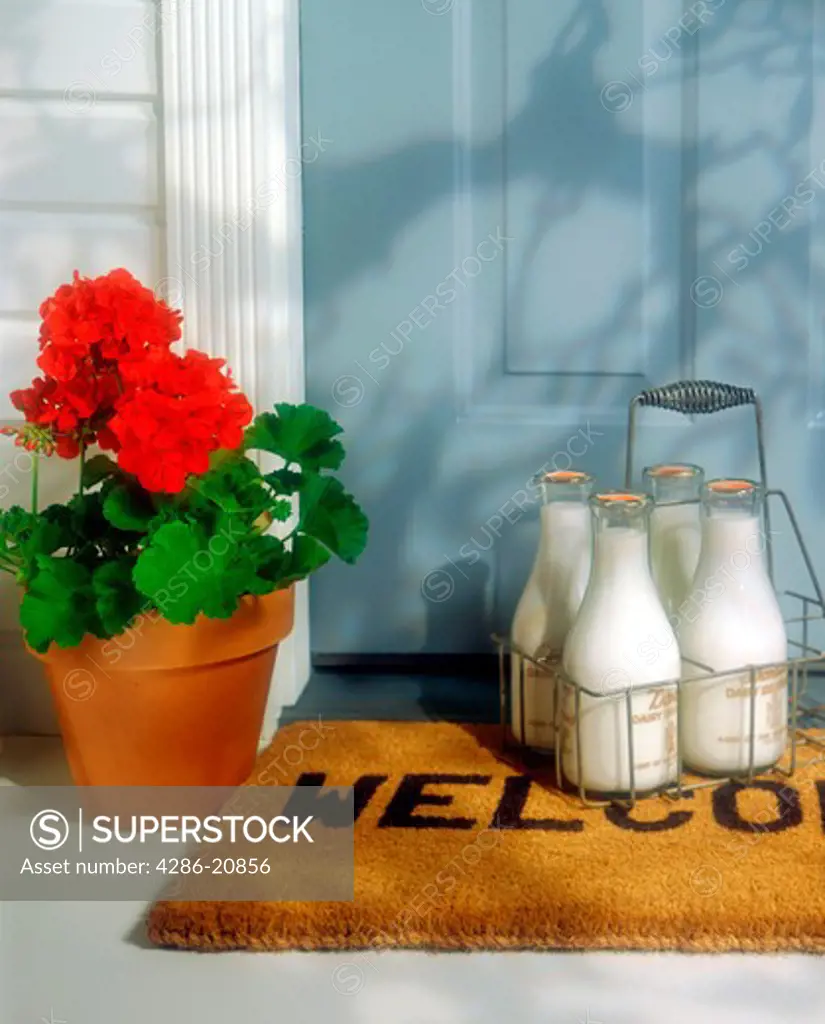 Four glass bottles of milk in a carrier sit on a welcome mat next to a flowering red geraninum at the front door of a house.