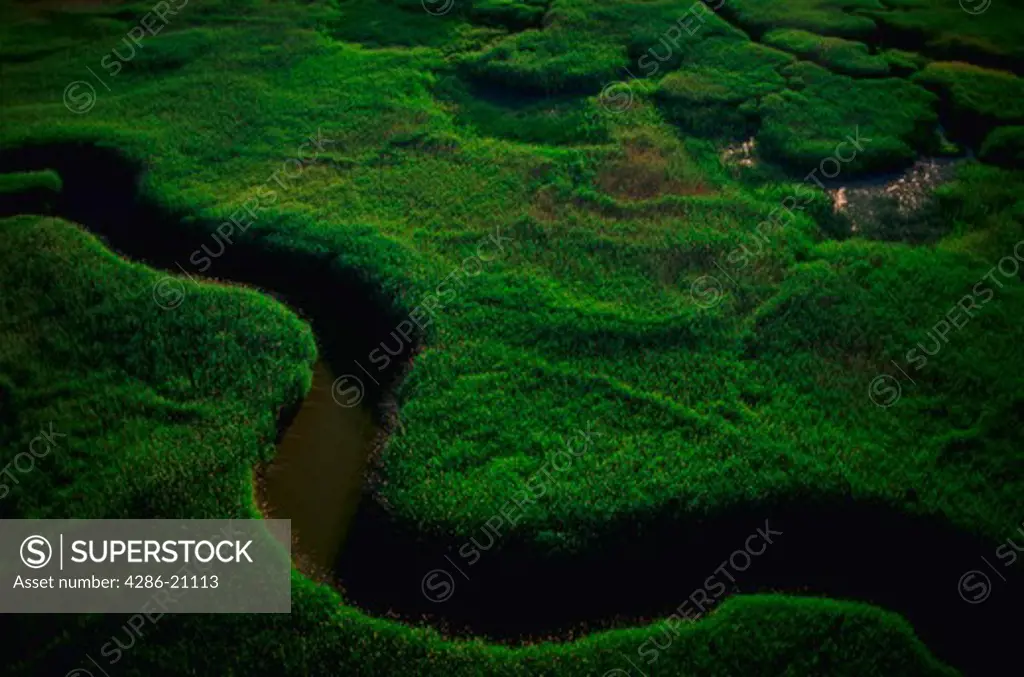 Aerial view of a curving waterway running through lush green marshland.