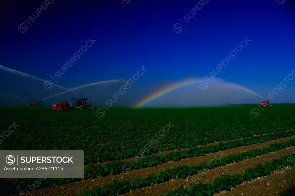 Irrigation trucks creating a rainbow as they spray water near the entrance to Everglades National Park in Florida.