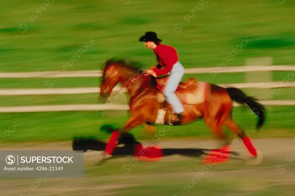 Horse and rider, running, blurred