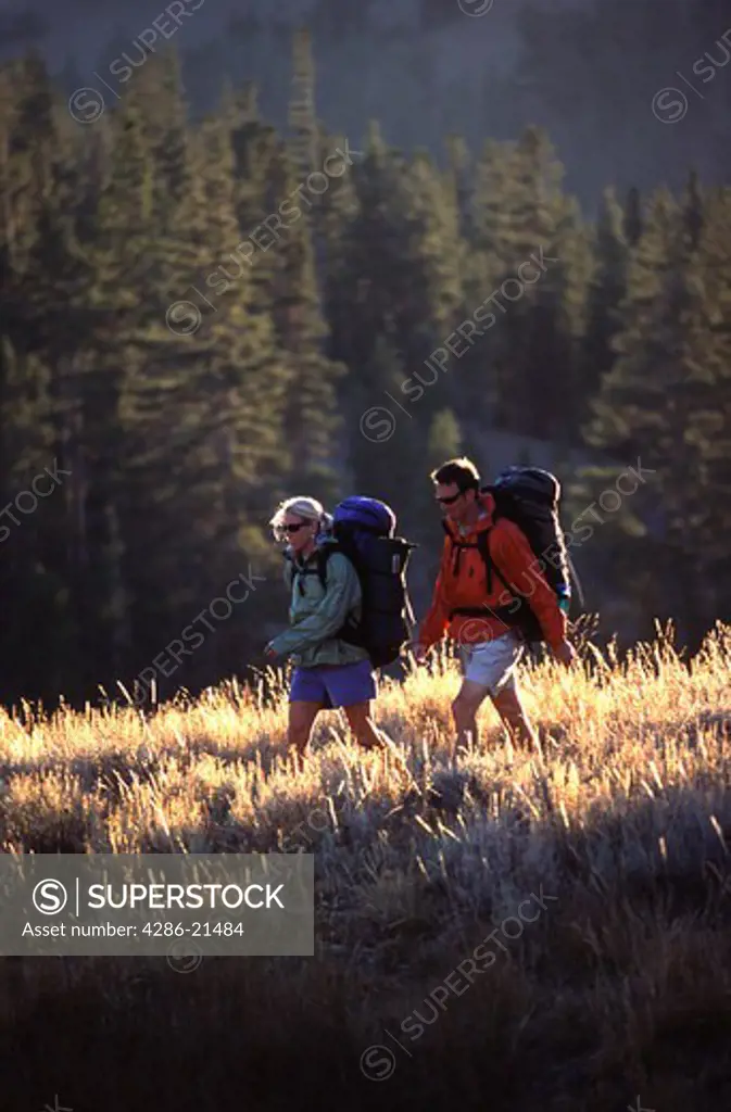 Man and woman backpacking through golden grass at Sonora Pass, CA.