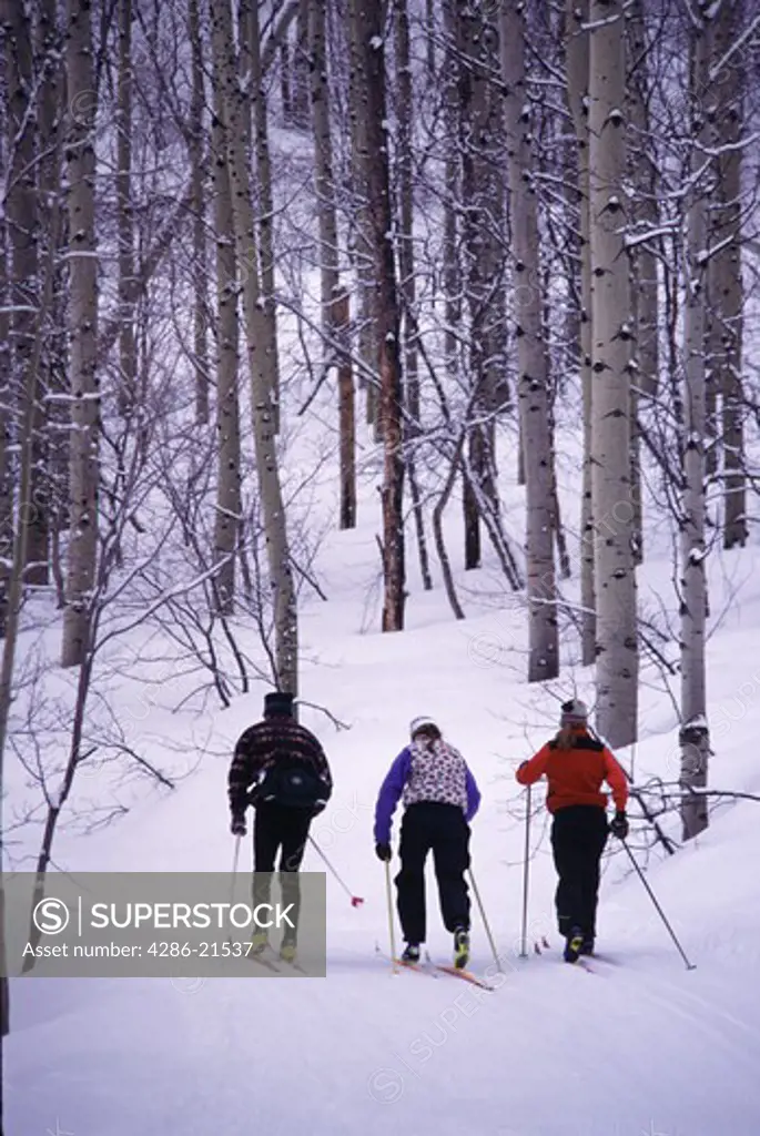 A group cross country skiing at Sundance, UT.