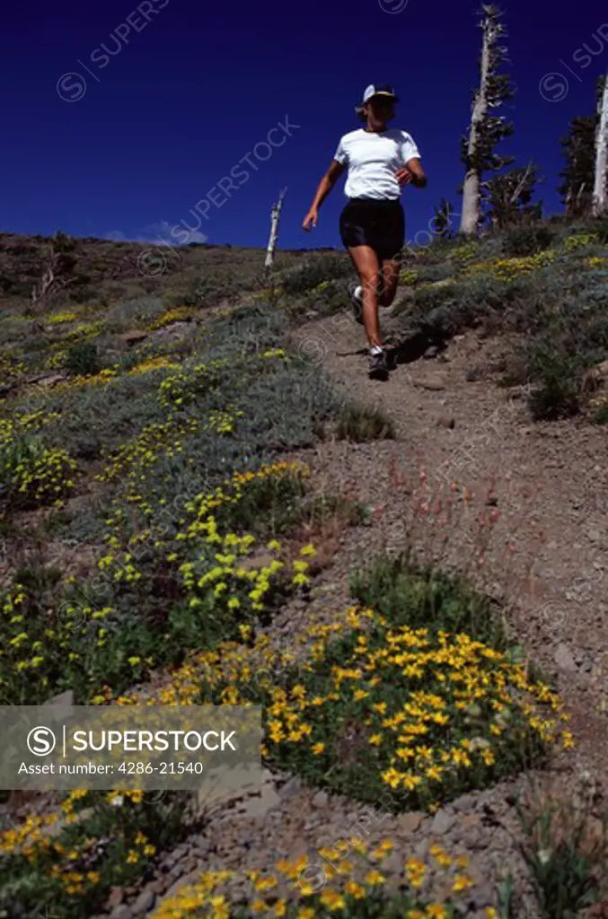 A woman trail running on the Pacific Crest Trail