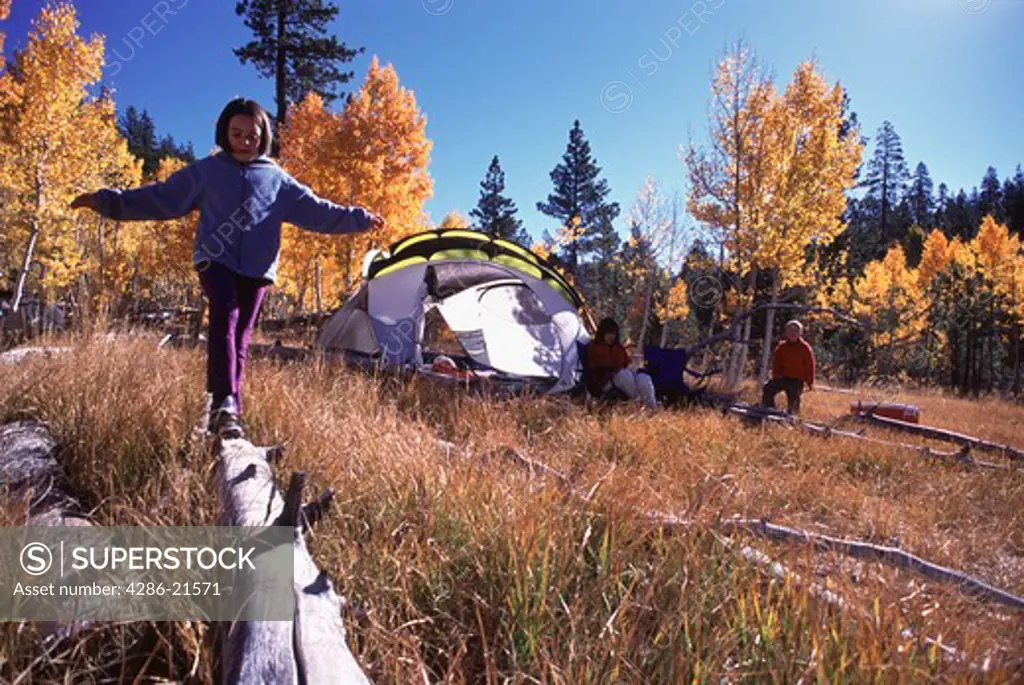 A girl balancing on a log while family camping in an autumn meadow near Truckee, CA.