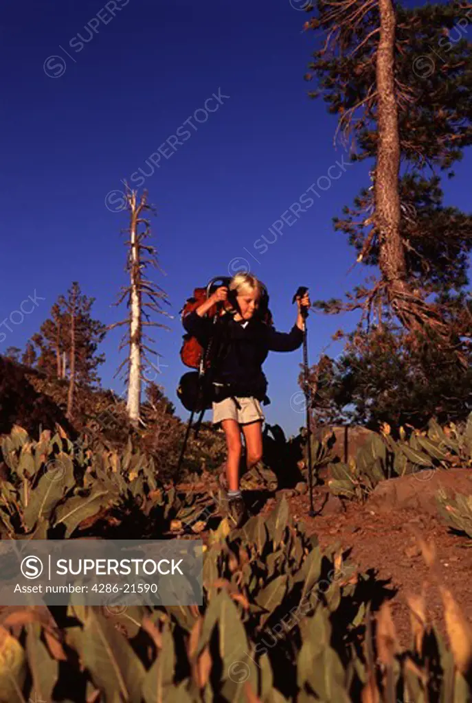 A young girl hiking on Mount Judah, CA.