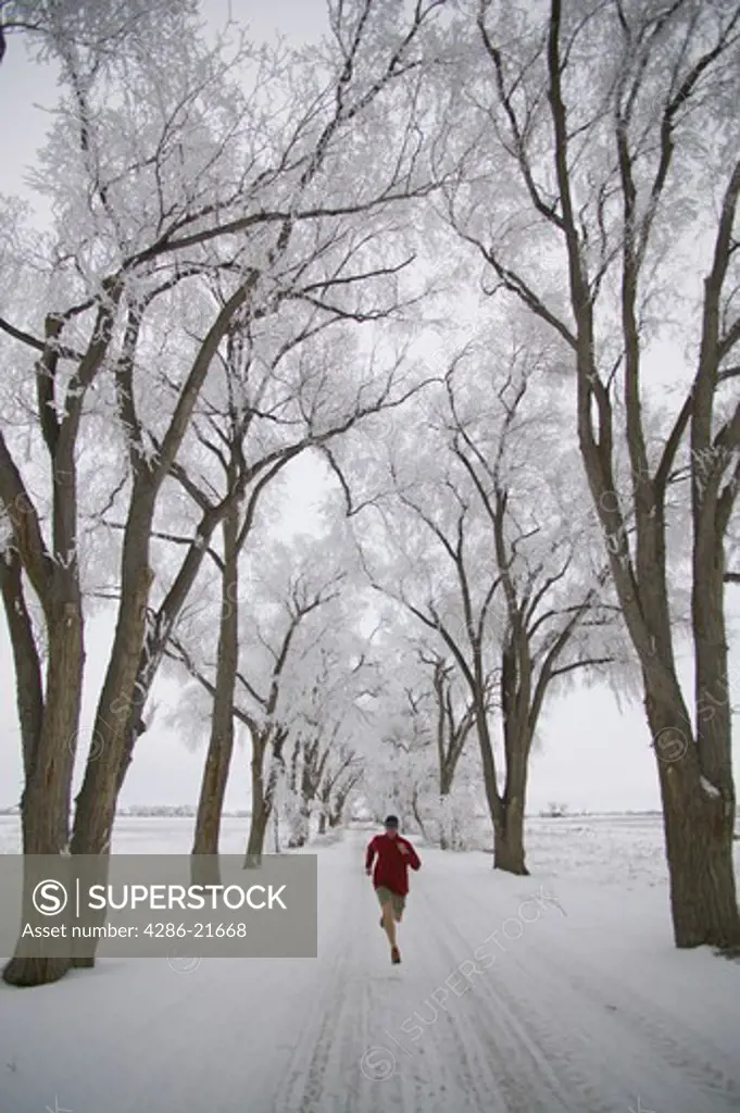 A man running past frosty trees in Lovelock, NV.