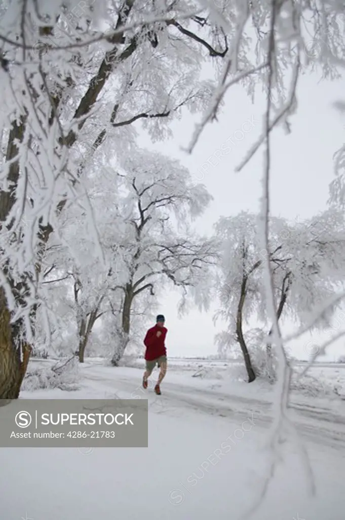 A man running past frosty trees in Lovelock, NV.