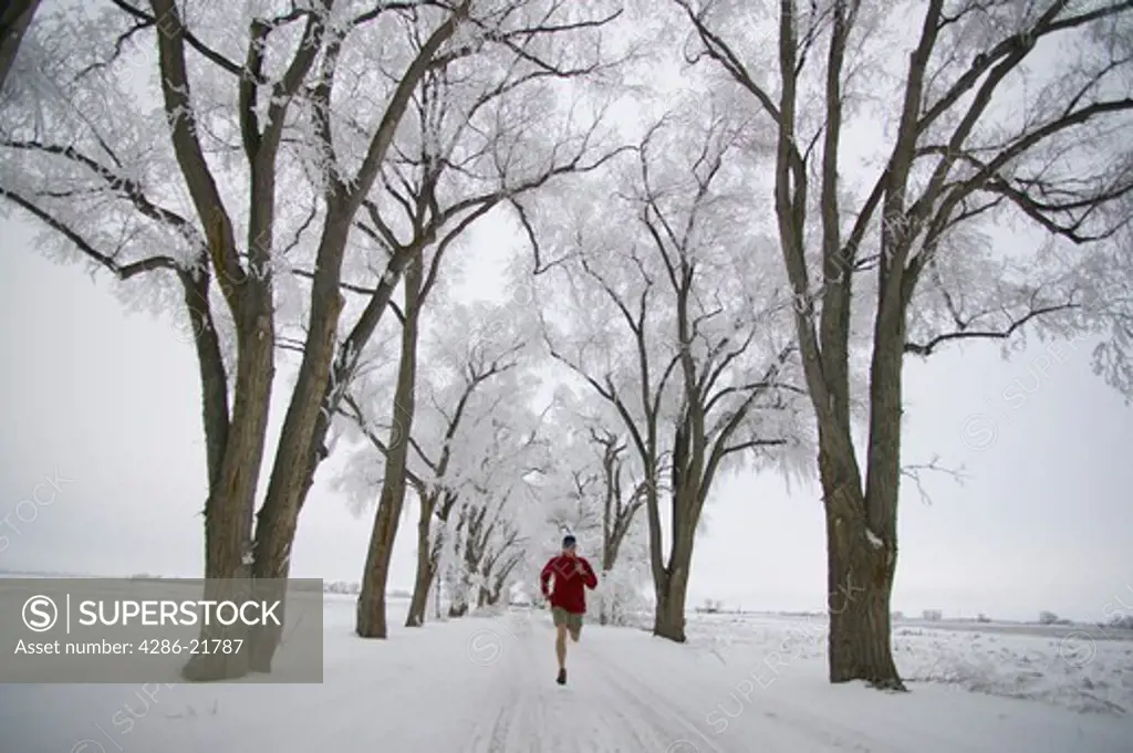 A man running past frosty trees in Lovelock, NV.