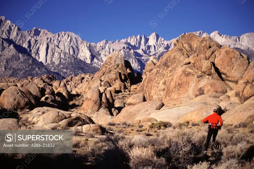 A man running in the Alabama Hills near Mount Whitney, CA.
