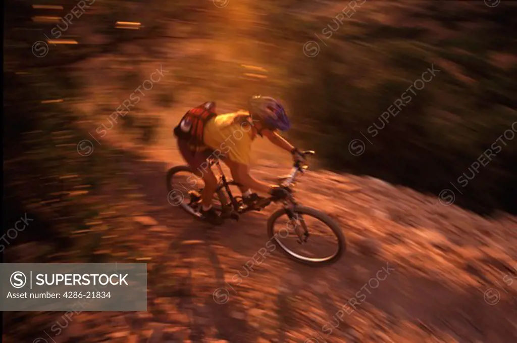 A woman mountain biking down a dusty single track trail near Truckee, CA